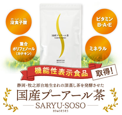 国産プーアール茶/お茶の荒畑園